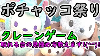 【ポチャッコ祭り！】クレーンゲーム 大きいぬいぐるみの取れる台の見極め方教えます