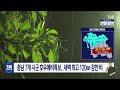 충남 7개 시군 호우예비특보..새벽 최고 120mm 강한 비｜ tjb 대전·세종·충남뉴스