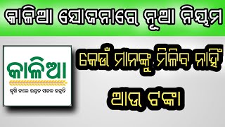 କାଳିଆ ଯୋଜନାରେ ନୂଆ ନିୟମରେ କେଉଁ ମନେ ପାଇବେ ନାହିଁ ଟଙ୍କା କେଉଁ ମନେ ପାଇବେ ##kalia yojana new rule