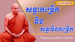 សទ្ធាកម្រើក និងសទ្ធាមិនកម្រើក |ព្រះធម្មវិបស្សនា សំ ប៊ុនធឿន កេតុធម្មោ | Thaney Buddhist Channel