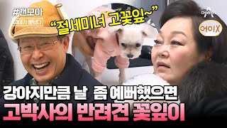 [#캔모아] 이혜정 질투하게 만드는 남편의 강아지 사랑💓 꽃잎이를 위해서 직접 집까지 만들었다? #아내가뿔났다