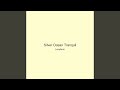 Silver Ocean Tranquil