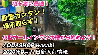 アクアリウムを始めよう！AQUASHOP wasabi ２０２０年９月１１日新入荷情報 ADAネイチャーアクアリウム水草水槽立ち上げ初心者、システムテラ、システムアクア、パルダリウム、アクアテラリウム