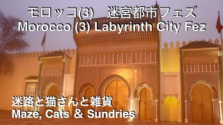 [モロッコ(3)　迷宮都市フェズ]　迷路と猫さんと雑貨 [Morocco(3) Labyrinth City Fez] Maze, Cats and Sundries