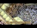 HD| Makkah Maghrib 4th April 2013 Sheikh Mahir