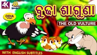 ବୁଢା ଶାଗୁଣା - Odia Story | Odia Moral Stories | Odia Fairy Tales | Koo Koo TV Odia