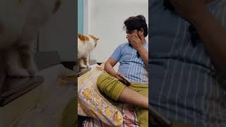 billu ki biwi ki maayke jaane se rokna tamacha khana😂🤣 #catcomedy #cat #viralcat #catvideo