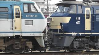 JR貨物 EF66 110号機+EF66 36号機ムド いよいよ2074レで吹田へ 広島機関区 2011.7