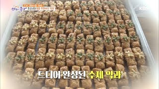 달콤~바삭! 50년 전통, 담양 3대 수제약과 [아침이 좋다] 20190517