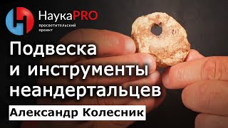 Подвеска и инструменты неандертальцев из стоянки «Рожок» в Ростовской области – Александр Колесник