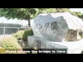 travel in japan jr ueno station giant panda and panda bridge