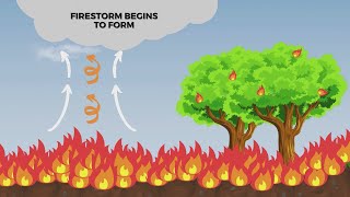 What’s Up Weather with Jordyn: What is a firestorm?