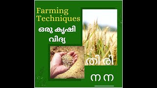 തിരി നന  |  Thiri nana [Cheapest Farming Technique] (ഏറ്റവും ചിലവ് കുറഞ്ഞ നനയൽ രീതി) {Reuse plastic}