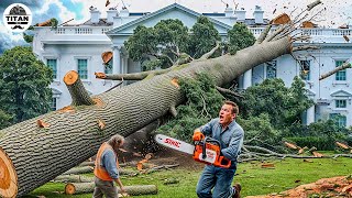 Dangerous Fastest Idiots Cutting Tree Fails Skill With Chainsaw | Tree Falling on Houses #6