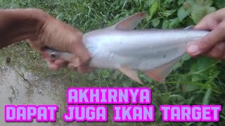 Alhamdulillah dapt juga ikan target #mancingmania #fishing #jamtayang4000 #subscribe #4000jamtayang