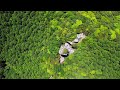 竜石 tatsuisi から見る藺牟田池 泥炭形成植物群落