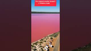 7 facts about pink lake australia#shorts#facts