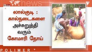 லால்குடி அருகே கால்நடைகளை அச்சுறுத்தி வரும் கோமாரி நோய்