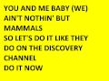 Discovery Channel (lyrics)