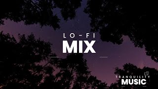 lofi hip hop radio - beats to relax/study✍️ Study Time ~ Music to put you in a better mood