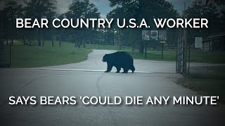 PETA Investigates: Bear Country U.S.A. Worker Says Bears ‘Could Die Any Minute’