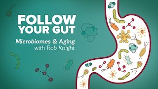 Follow Your Gut: Microbiomes and Aging with Rob Knight - Research on Aging
