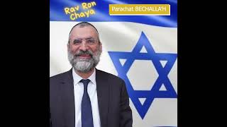 🕯️🍷🥖 Chabbat Parachat BECHALLAH 2025 - message du Rav Ron Chaya