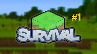 Minecraft Survival #1