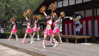 15/09/22 11：30の部　ドアラ＆チアドラゴンズ2015　日本昭和村