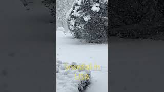 Snow fall in America #shorts #youtubeshorts #trending #america #usa #snowfall all