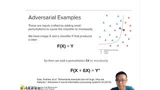 Lecture 10.1 - Adversarial Robustness in Deep learning