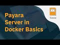 Payara Server in Docker   Basics