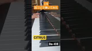 【11歳】CITRUS／Da-iCE  耳コピアレンジで弾いてみた♪ #shorts