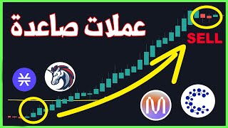 توقعات اتجاه سوق العملات التي تصعد هذه الايام