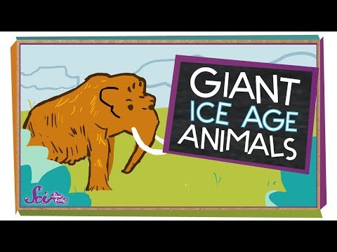 How did the ice age affect animals?