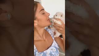 ce chiot est si mignon et petit❤😍 #youtubeshorts #dogs #animals #adorable #cuteshorts