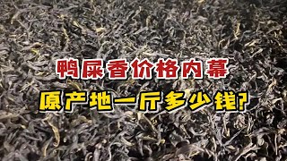 揭秘网红鸭屎香价格内幕，原产地鸭屎香一斤多少钱？别再买贵了