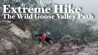 Wild Goose Valley Path to Tiu Shau Ngam \u0026 Ma On Shan - Extreme hike