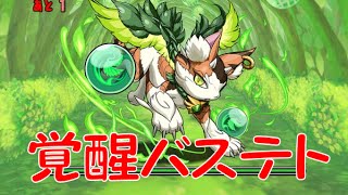 パズドラ　木の猫龍　Ｓランク　覚醒バステト（サブ：オシリス４体）