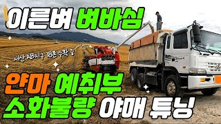 얀마 예취부 소화불량 야매 튜닝