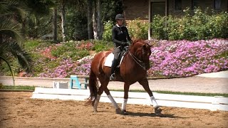 Dressage Suppleness - Unlocking the Gaits