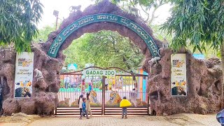 Gadag Zoo ನಲ್ಲಿ ಯಾವೆಲ್ಲ ಪ್ರಾಣಿ ಪಕ್ಷಿಗಳು ಇದ್ದಾವೇ ನೋಡಿಕೊಂಡು ಬರೋಣ || Gadag Binkadakatti Zoo