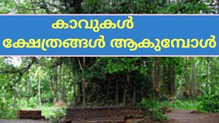 കാവുകൾ വെട്ടി നെരത്തി ക്ഷേത്രങ്ങൾ ആകുമ്പോൾ/Kavukkal/Astrologer Paravoor Sudheesh/6238999670