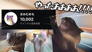 猫ミームだけで登録者が1万人超えちゃった奴の軌跡【猫ミーム】【猫マニ】