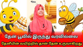 தேன் எப்படி உருவாகிறது | How bee's make Honey | Islamic Short Flim | @sofiyadawah