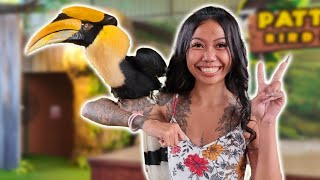 Bird Lady Tries to Assault Me!  | Pattaya Sheep Farm | Birds Attack | Fah Doesn't Feed Animals