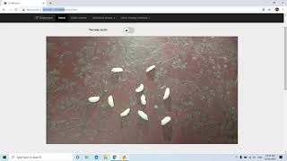 Thresholding using Image Segmenter | Image Processing Project using MATLAB