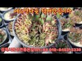 바위솔 군생 천오백원 화요일아침 부터판매합니다 3월21일 영상~