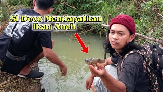 Ikan Goreng Super Langka Buatan Wa Deco! Auto Ludes