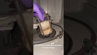 Gross Dishwasher Filter | #cleaning #clean